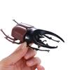 Kids Joke Toys Simulation Animals Beetle Toys Insect Model Simulation Beetle Special Lifelike Model