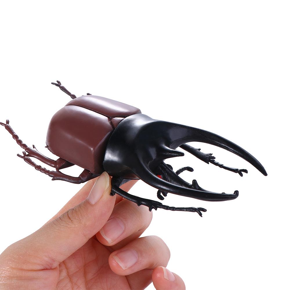 Kids Joke Toys Simulation Animals Beetle Toys Insect Model Simulation Beetle Special Lifelike Model