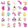50 Orchid Stickers - Cute Q Version Plant Designs for DIY Crafts, Journals, and Computer Decoration