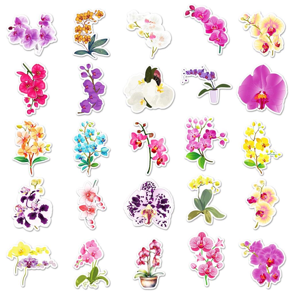 50 Orchid Stickers - Cute Q Version Plant Designs for DIY Crafts, Journals, and Computer Decoration