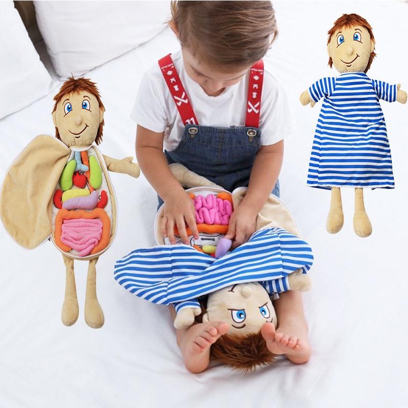 Children Cognitive Human Organ Body Structure Puzzle Plush Early Toys Education