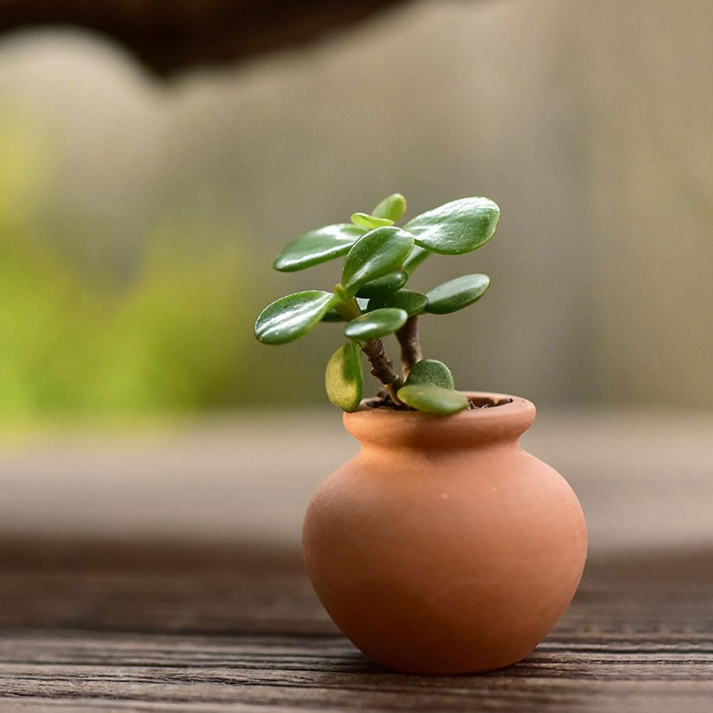 HANABASS 12 Pcs Mini Terracotta Pots 1.5 Inch Small Succulent Clay Pots for Plants Ideal for Home Decor, Craft Projects, and Party Favors, Desktop