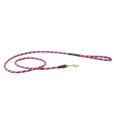 Rope Leather Dog Lead