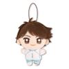 [Single Item] Toru Oikawa Plush Toy - Haikyu Nuipurike Mini 2 - Size: Approx. 10cm - Official