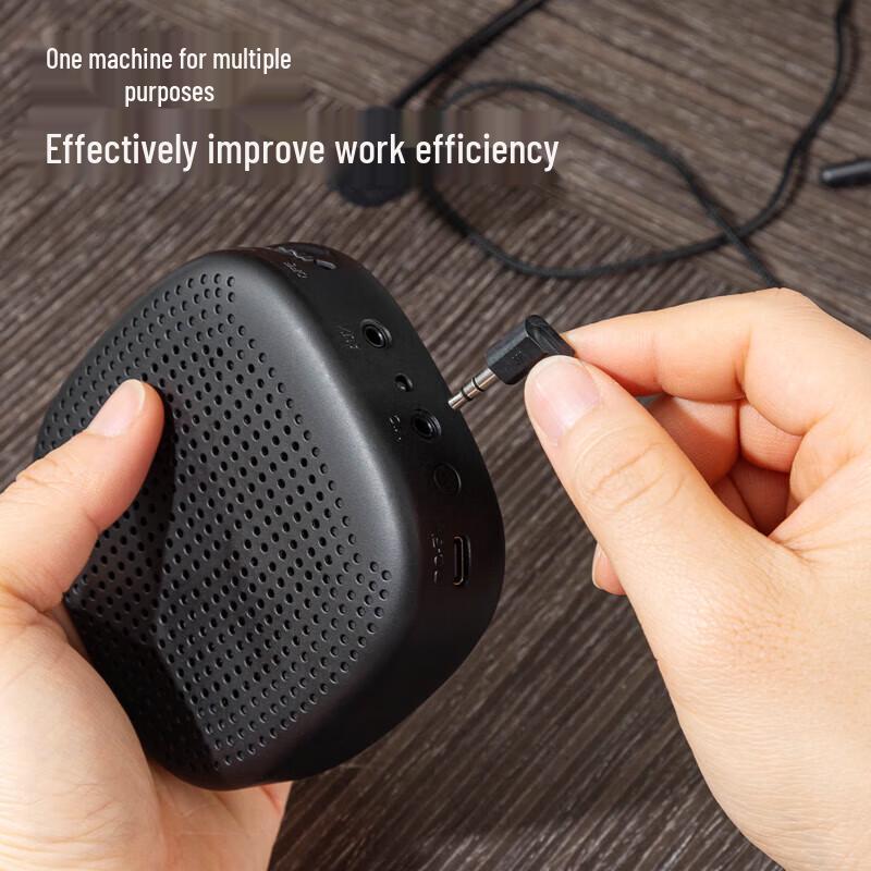 Deli Portable Voice Amplifier