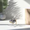 2025+ 4 Pcs Acrylic Display Stand with Gold Metal Arms Display Pedestal with Acrylic Base Decorative Gold Easel Stand Mineral