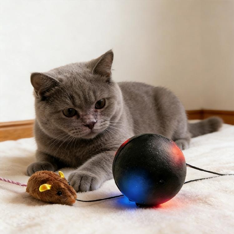 Active Pet Toy Ball with Automatic Direction Changes For Boredom Cats Continuous Enjoyment Indoor Enrichement Activity