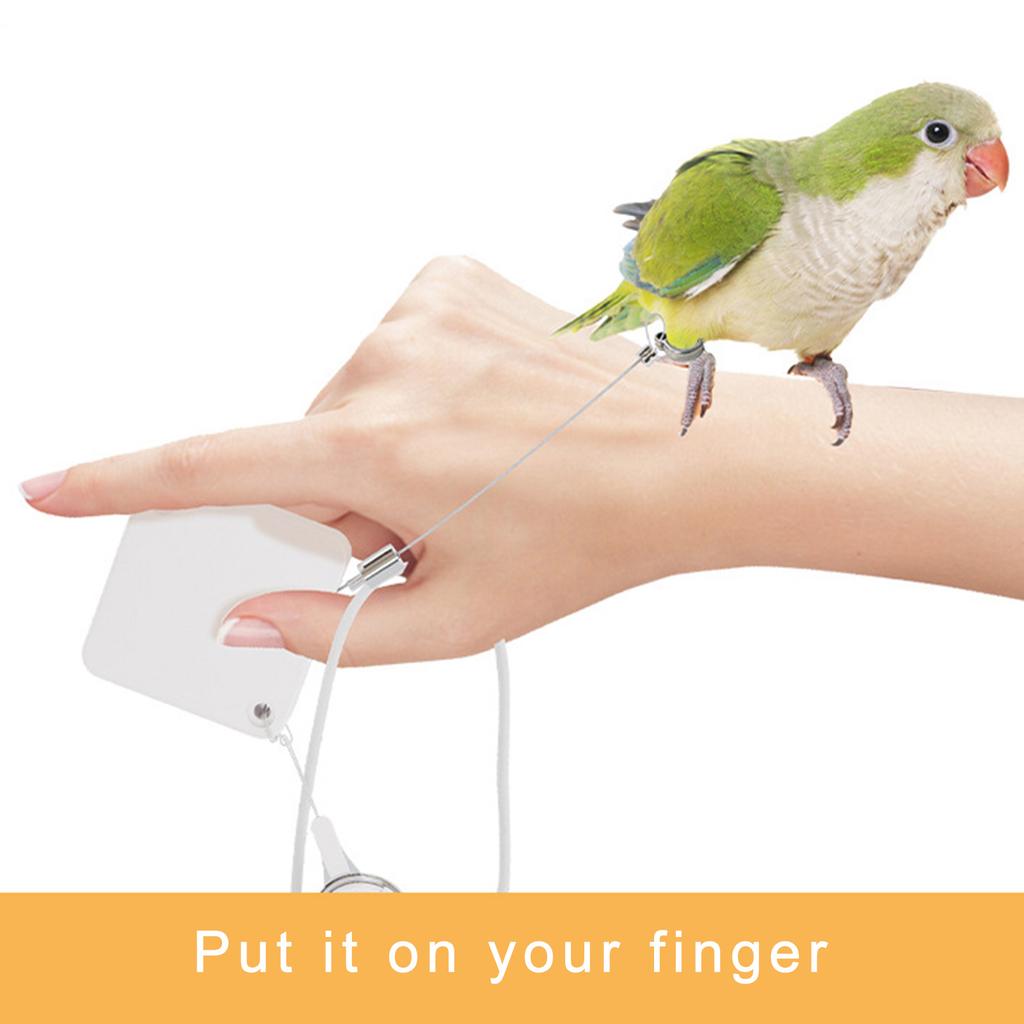 Parrots Leash Adjustable Parrot Tether Durability Bird Lead Bird Harness for Outdoor Funny