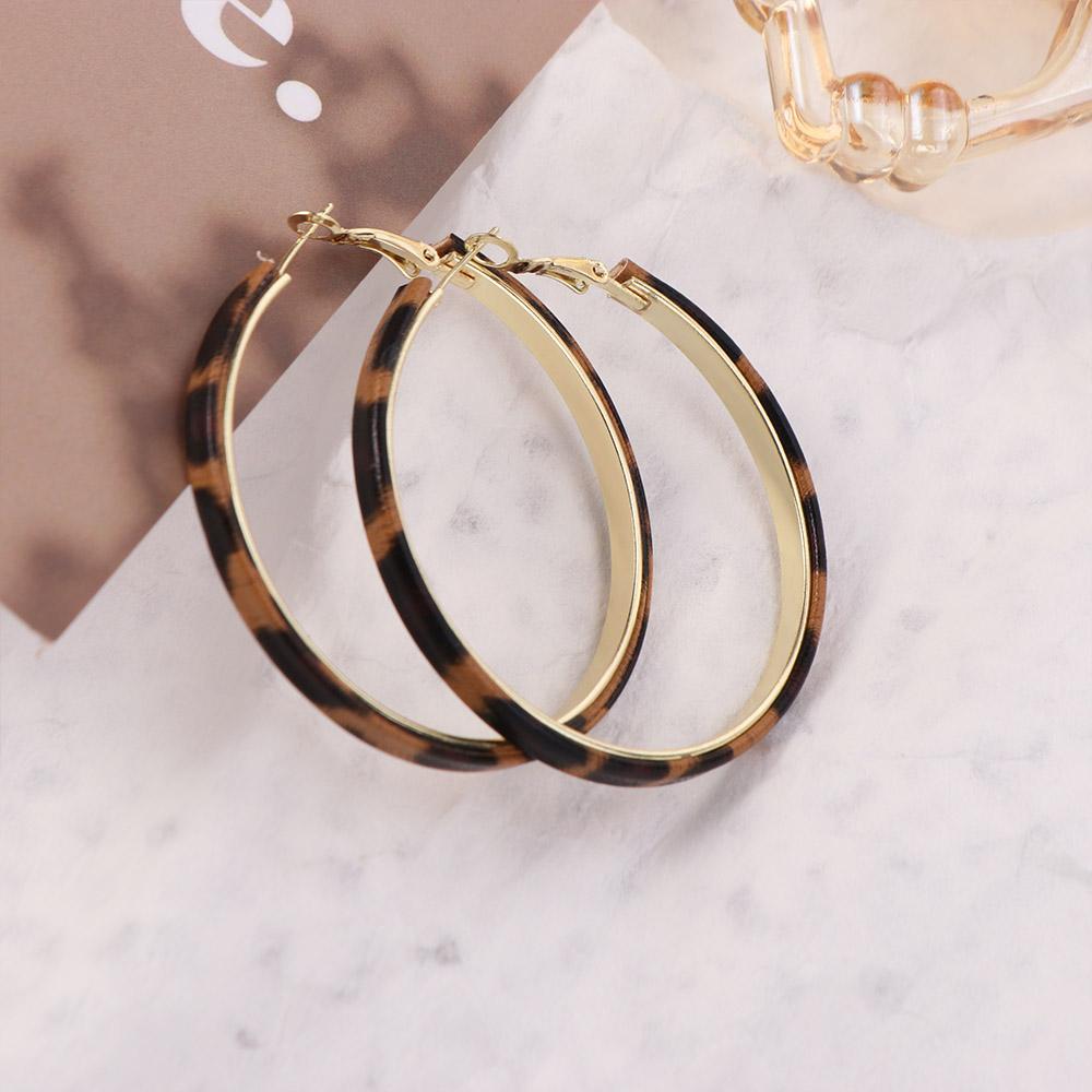 Y2k Resin Hoop Earrings Circle Women's Jewelry Vintage Leopard Hoop Earrings Gift