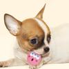 [Pet] Latex Facial Expression Toy For Dogs