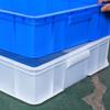 PE Thickened Plastic Square Tray for Food & Hardware Storage