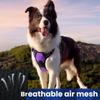 Dog Leash Vest Pet Nylon Chest Back Carry Pet Supplies Travel Accessories Reflective Design Portable Leads Pet Chest Back Leash