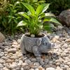 Decorațiuni pentru casă – Ghivece de flori decorative