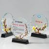 Individuelle Kristalltrophäe, Souvenirs für das jährliche Firmentreffen, den Lehrertag, Dankesplakette, Heimdekoration, Mattierte Trophäe, 1 Stück