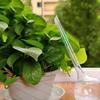 3pcs /Pack Automatic Plant Self Watering Water Feeder Plastic PVC Ball Plant Flowers Water Feeder Indoor Outdoor Watering Cans