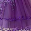 Children's Princess Embroidered Formal Piano & Party Dress