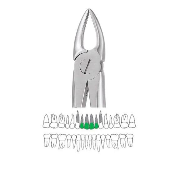 

GDC Extraction Forceps Upper Roots Narrow - 29n Standard (Fx29ns)