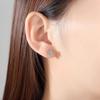 Best-selling 1 Carat D Color Moissanite Six-Claw S925 Sterling Silver Stud Earrings with Threaded Back