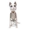 Kostra Kočky Halloweenská Dekorace Strašidelná Sedící Kostra Kočky Figurka Plastové Zvířecí Kosti s Pohyblivými Klouby pro Hřbitovní Scénu Strašidelné Domy