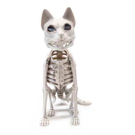 Kostra Kočky Halloweenská Dekorace Strašidelná Sedící Kostra Kočky Figurka Plastové Zvířecí Kosti s Pohyblivými Klouby pro Hřbitovní Scénu Strašidelné Domy