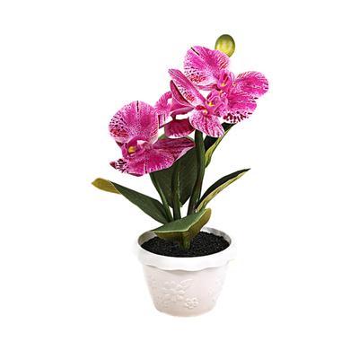 Fake Potted Plant Realistic Simulation Flower Vivid Colored Fake Butterfly Orchid Bonsai for Home Decoration Adult Sex Wear