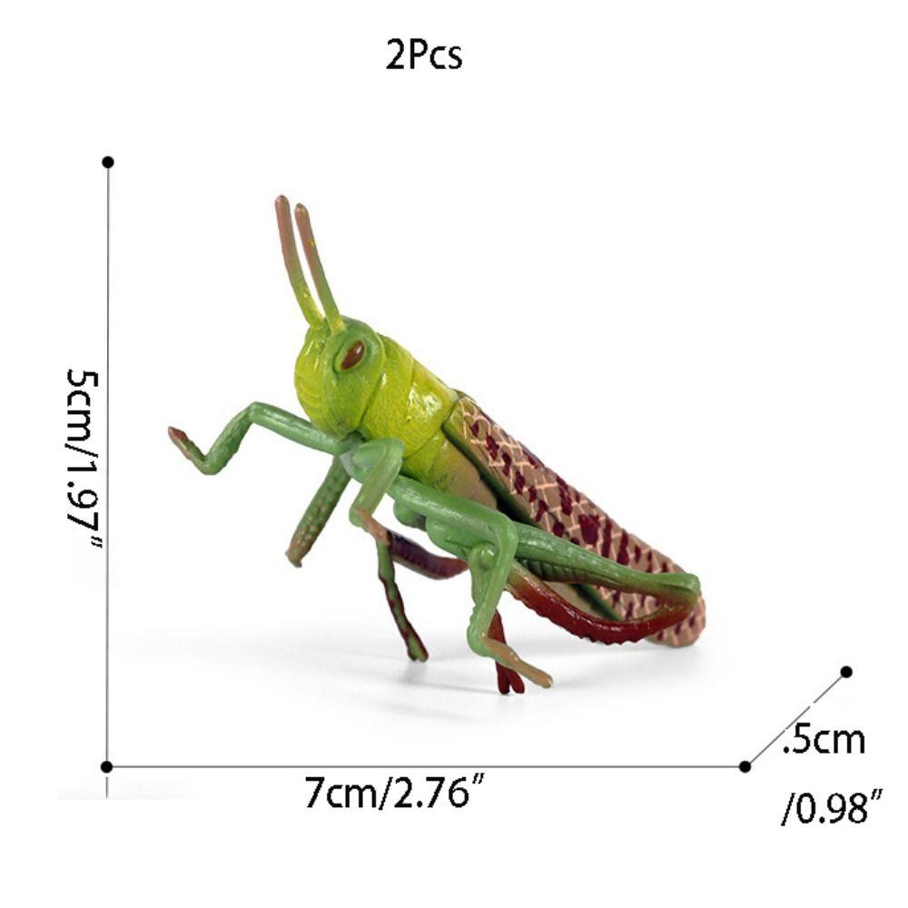 2Pcs Cartoon Locust Statue Vivid Animal Toys Creative Locust Animal Model  Garden