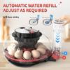 Explore+ 12 Egg Incubator for Beginners, Multi-Level Adaptive Humidity (Auto-Refill & Dual-Bottle) & Stable Temp Control, Auto Egg Turning, Real-Time