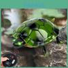 Jucării și drone controlate radio – Roboți și animale controlate radio