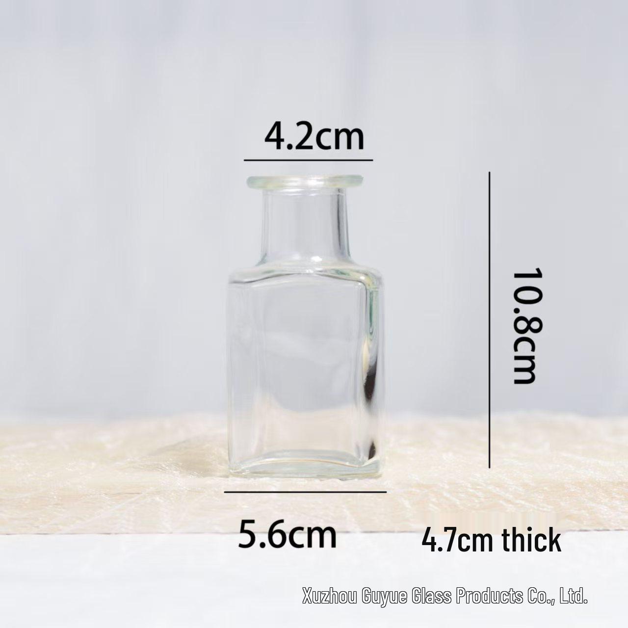 Hydroponic Glass Vase: Modern Minimalist Flower Arrangement and Desktop Decoration Ornament