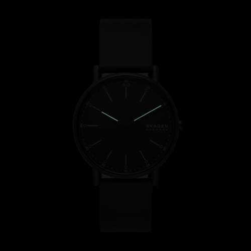 Skagen Signatur SKW6902 Watch