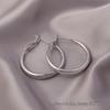 European American Style Luxury Stud Earrings: Elegant Cross-border Niche Hoops, Versatile Celebrity-inspired Accessories