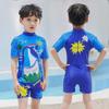 Kids' One-Piece Shark Swimsuit with Swim Cap - Korean Style, Quick-Dry, UV Protection for Boys In Small, Medium, and Large.