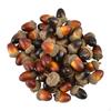 100x Glands Artificiels Faux pour Bricolage Festival Thanksgiving
