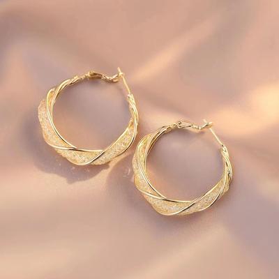 Fried Dough Twists Earrings Temperament Versatile New Ring Earrings Simple and Advanced Luxury Hollow Earrings