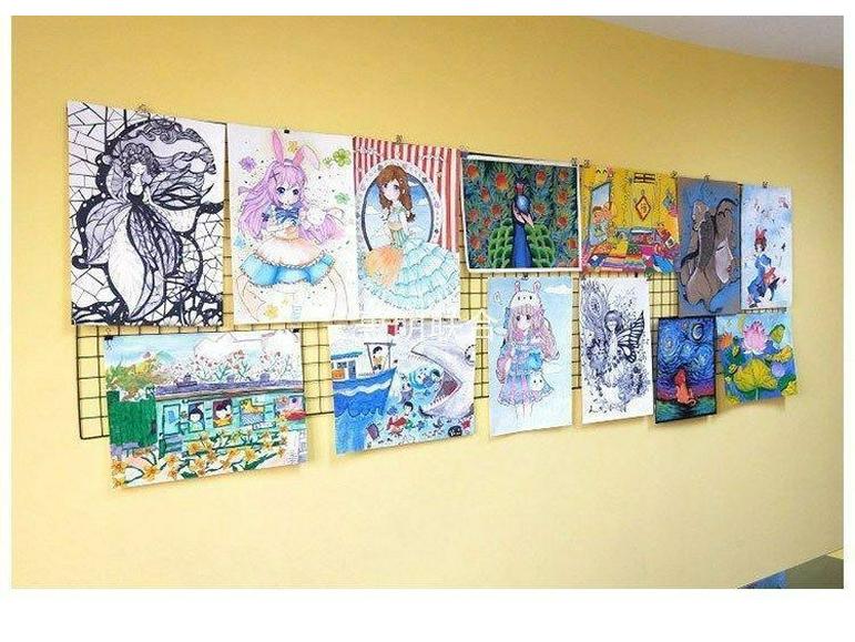 Iron Mesh Wall Decor & Pet Barrier Rack System