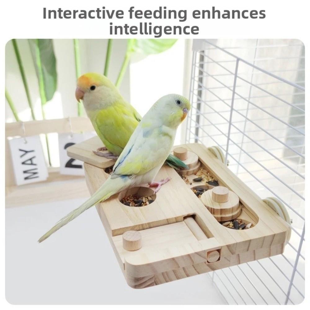 Training Function Parrot Feeding Tray Hanging Pet Food Seek Toy  for Small Pet