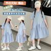 Girls' Dress, Summer New Style, Children's Fashion, Super Beautiful Polo Skirt, Girls' Dress, Summer Thin Version