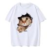 Men's Summer Comfortable Short Sleeve Cute Cat Pattern Casual Fashion Round Neck T-shirt