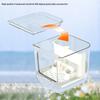 Transparent Automatic Feeding Device Large Capacity Bird Food Dispenser  Balcony