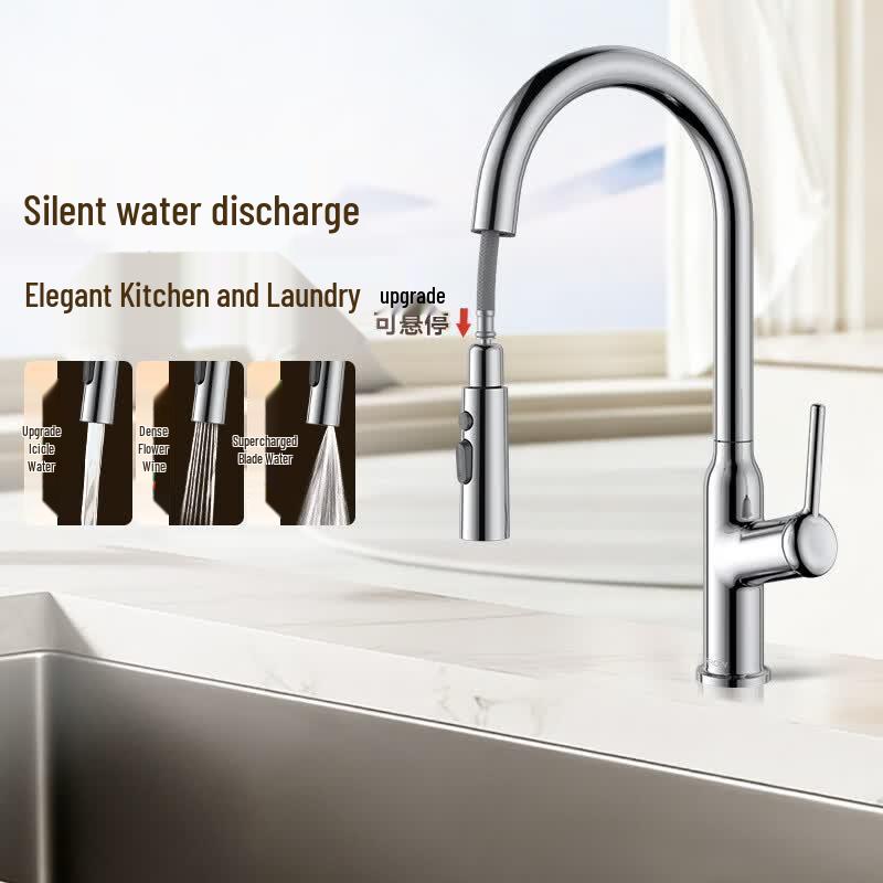 ARROW 304 Stainless Steel Pull-Out Kitchen Faucet