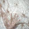Firework Patterned Glitter Sequined Gold-embossed Fabric Suitable for Wedding Dresses Evening Gowns and Designer Clothing Fabric