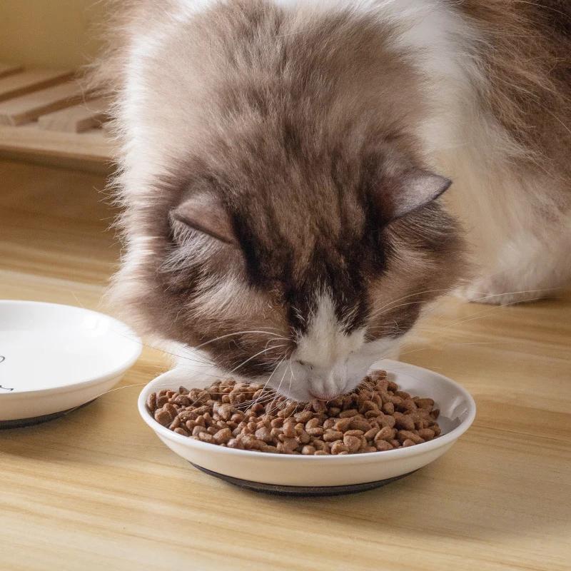 Ceramic Pet Kitten Food Bowl Canned Snacks Dinner Plate Small Anti-slip Cat Plate Household Accessories Creative Pet Food Bowl