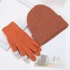 Winter Warm Knitted Gloves And Hat Set for Men And Women Soft Skull Cap And Touch Screen Gloves Set for Cold Weather