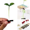 5 Stück Grasblumen-Haarspange Pflanzen-Haarspange Trendige Kleine Haarspange Für Mädchen Kinder Kreative Pflanzen-Kunststoff-Haarspange Damen Accessoire
