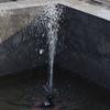 Solar Powered Fountain