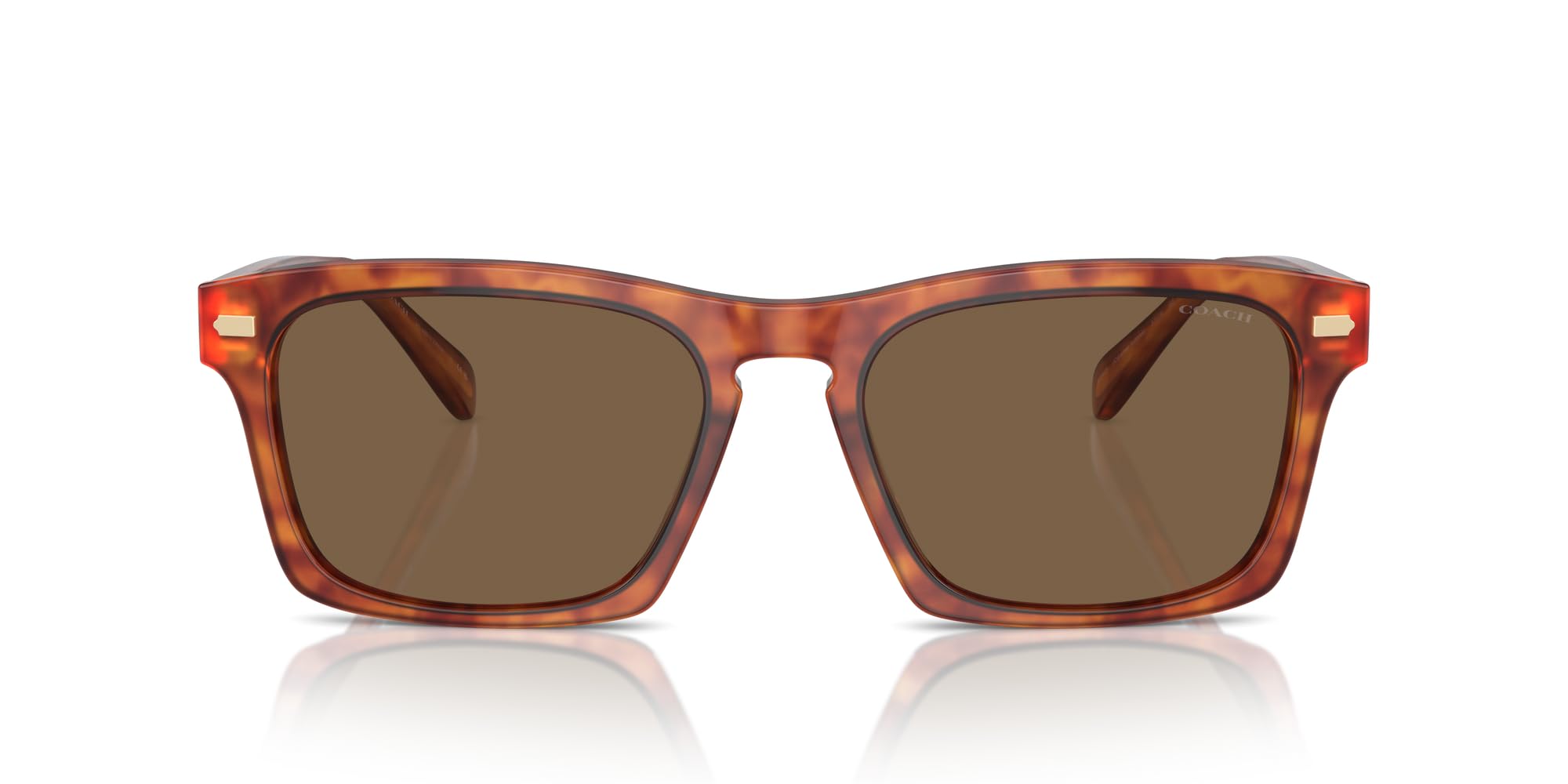 

Sunglasses HC8397U CR628 CARAMEL TORTOISE 57 [Coach] Men s