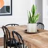 Villa Como Flower Ceramic Stylish with Potted Indoor Gold Pot, Pot, Planter, No. 4.5, Holes, Pot, Plant, Interior, Room, Office, Decoration, White,
