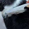 2PCS Stainless Steel Dense Teeth Pet Grooming Comb 14cm 18cm Size Detangling Comb  for Hair Shedding
