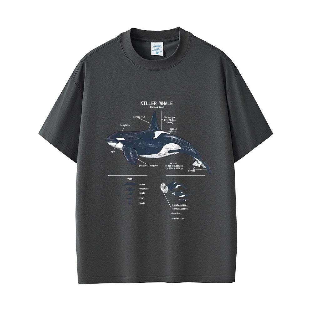 Marine Animals Killer Whale Anatomy Graphic Tshirt Mens Womens Casual Funny T Shirts Tops Unisex Fashion Oversized Streetwear
