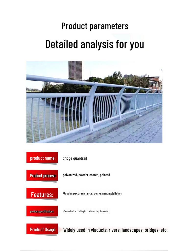 Elevated Bridge Barrier for Vehicle and Pedestrian Safety